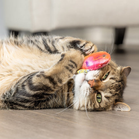 Huxley & Kent Cat Toy Rainbow Guppy